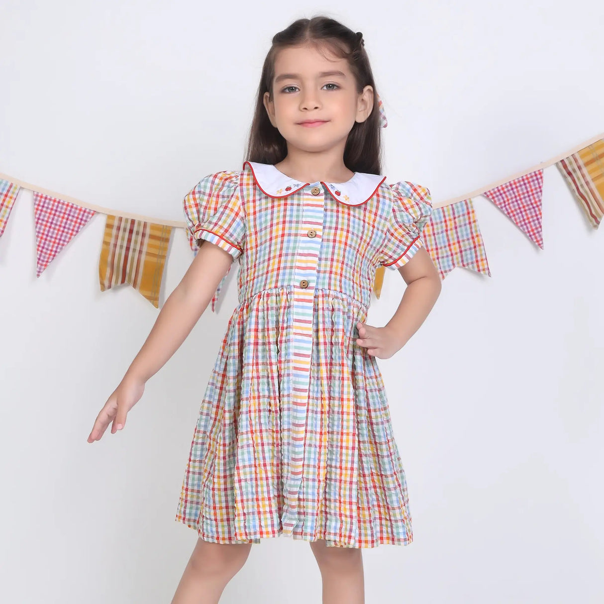 A girl dressed in a multi-color checked embroidered cotton puffed sleeves dress.