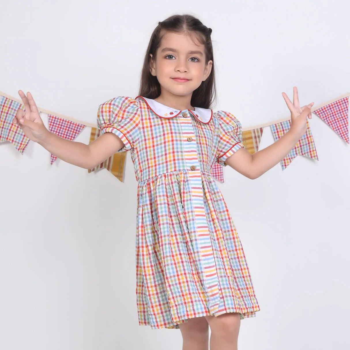 A girl posing in a multi-color checked embroidered cotton puffed sleeves dress.