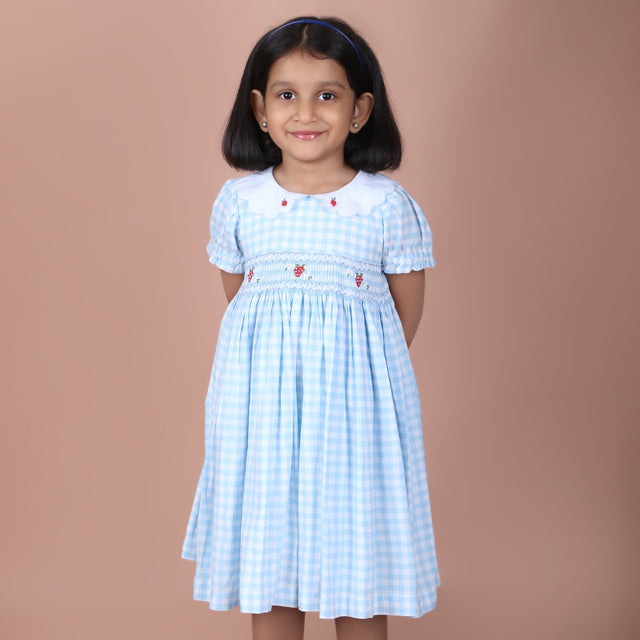 girl wearing royal blue gingham dress with daisy embroidery