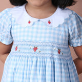 close-up of daisy smocking and scalloped collar