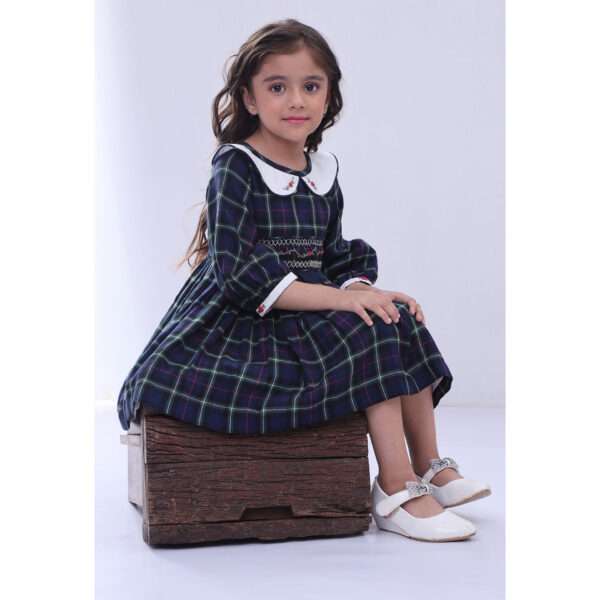 A little girl in navy plaid hand smocked cotton dress with hand embroidered collar