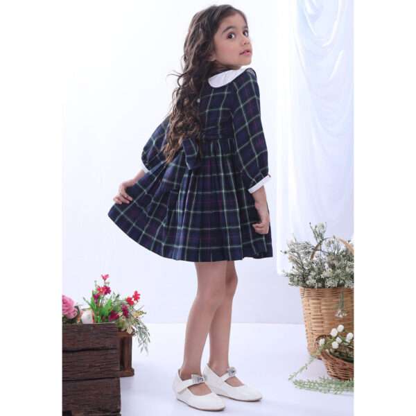 A little girl in navy plaid hand smocked cotton dress with hand embroidered collar
