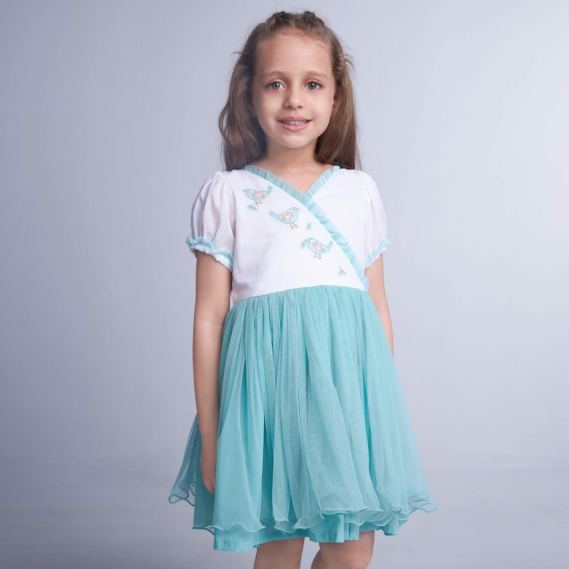 A girl wearing aqua blue bird embroidered crossover tulle dress