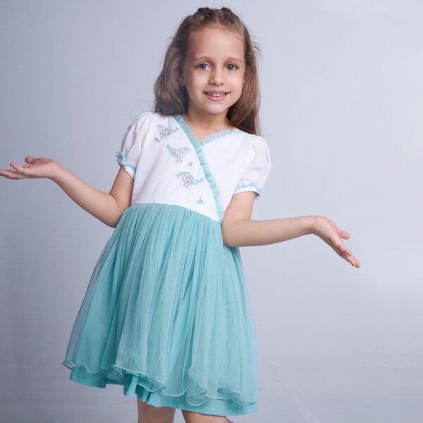 A young girl striking a pose in aqua blue bird embroidered crossover tulle dress