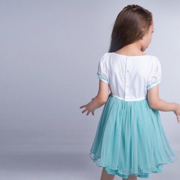 Back view of a girl wearing aqua blue bird embroidered dress